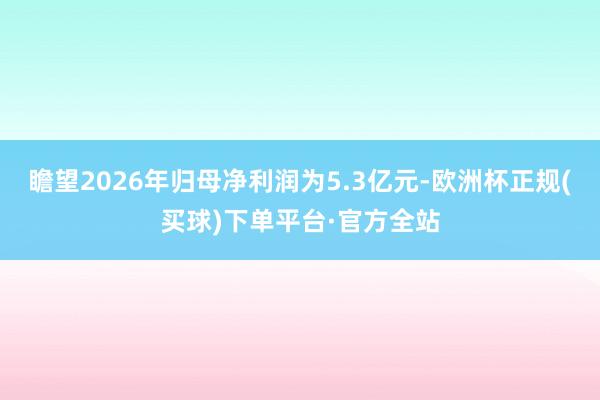 瞻望2026年归母净利润为5.3亿元-欧洲杯正规(买球)下单平台·官方全站