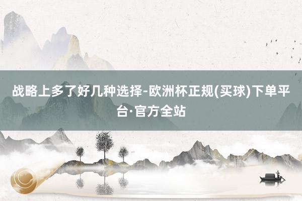 战略上多了好几种选择-欧洲杯正规(买球)下单平台·官方全站